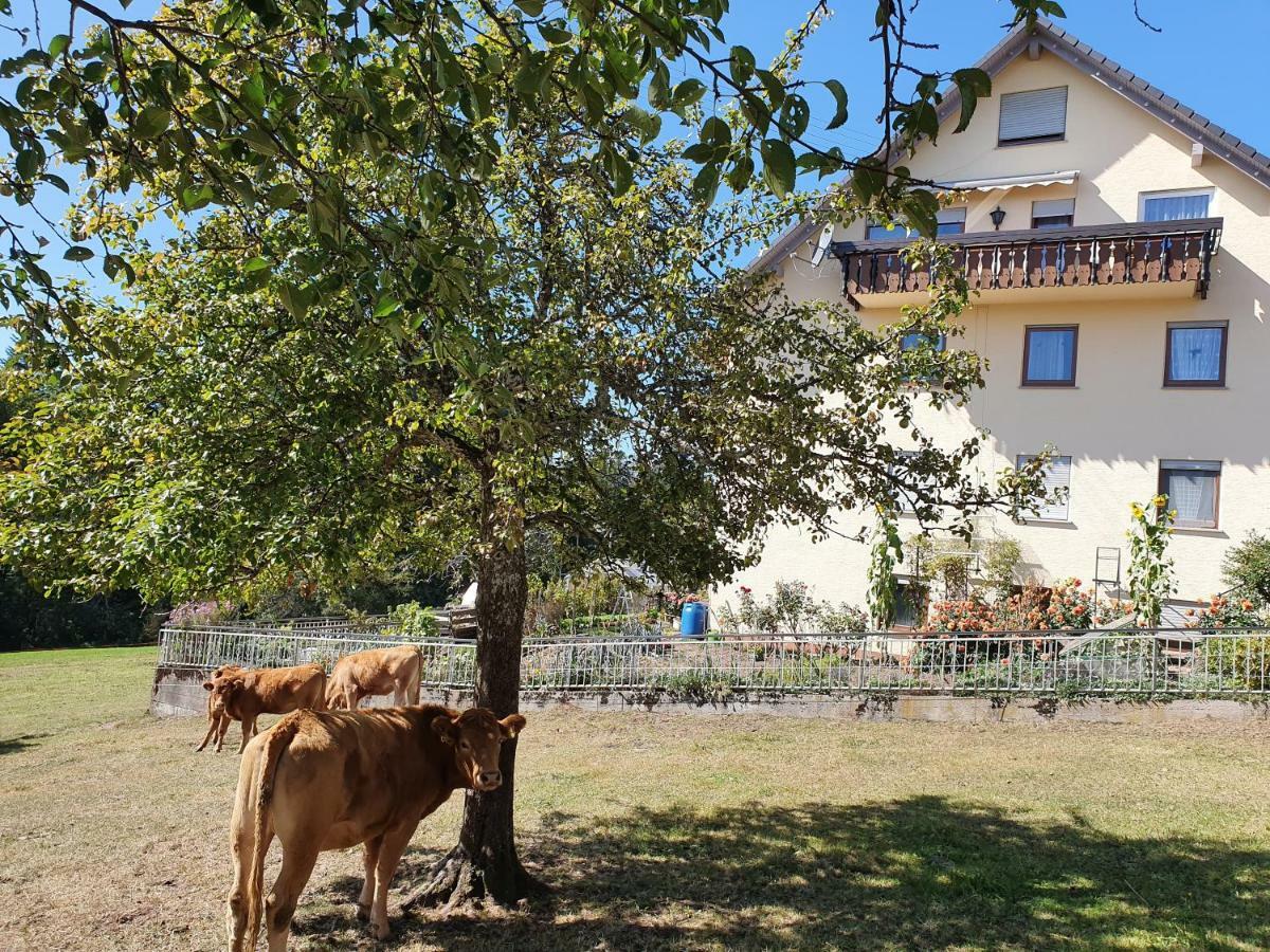 Chickenhill Blackforest, Grosse Ferienwohnung Im Schwarzwald 巴特维尔德巴德 外观 照片