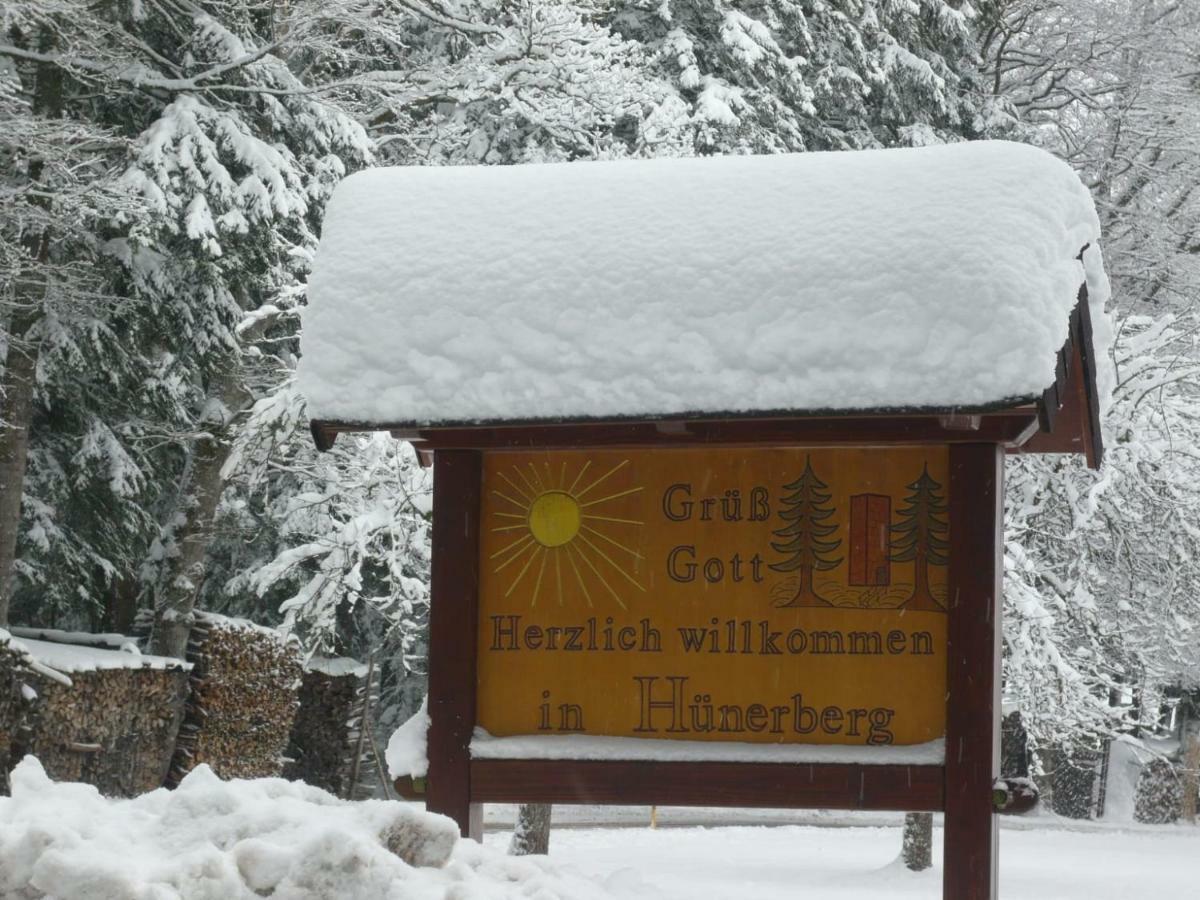 Chickenhill Blackforest, Grosse Ferienwohnung Im Schwarzwald 巴特维尔德巴德 外观 照片